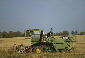 Agriculture in Zyryanskoye District (http://zir.tomsknet.ru/)
